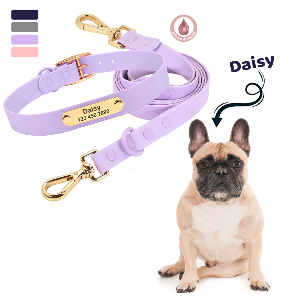 Frenchie Custom Adjustable Collar for Outdoor Adventures-fadou