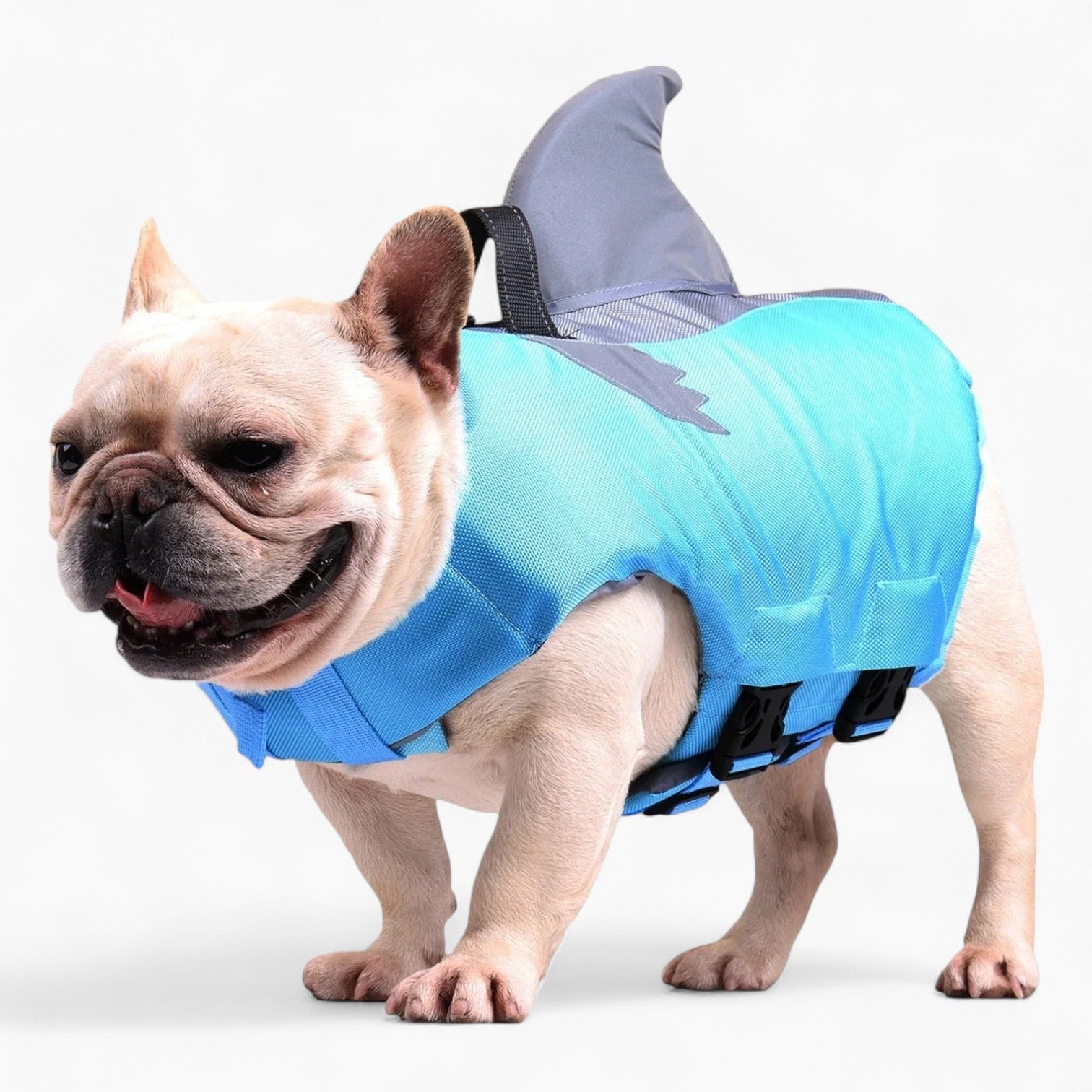 French Bulldog Reflective Beach Swimwear for Bulldog Owners-fadou