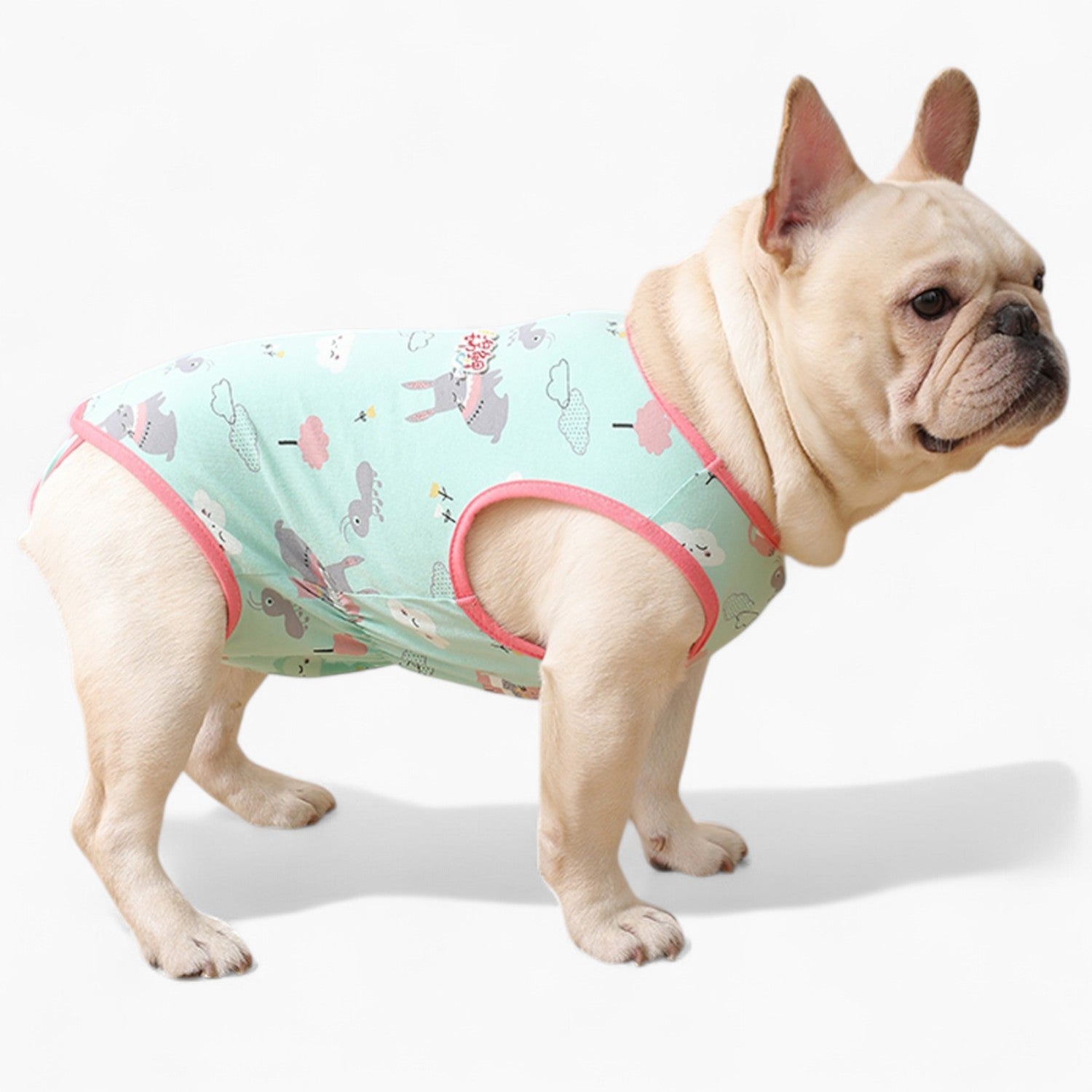 PawJoy French Bulldog Physiological Pants – Cute for Dog Lovers and-fadou
