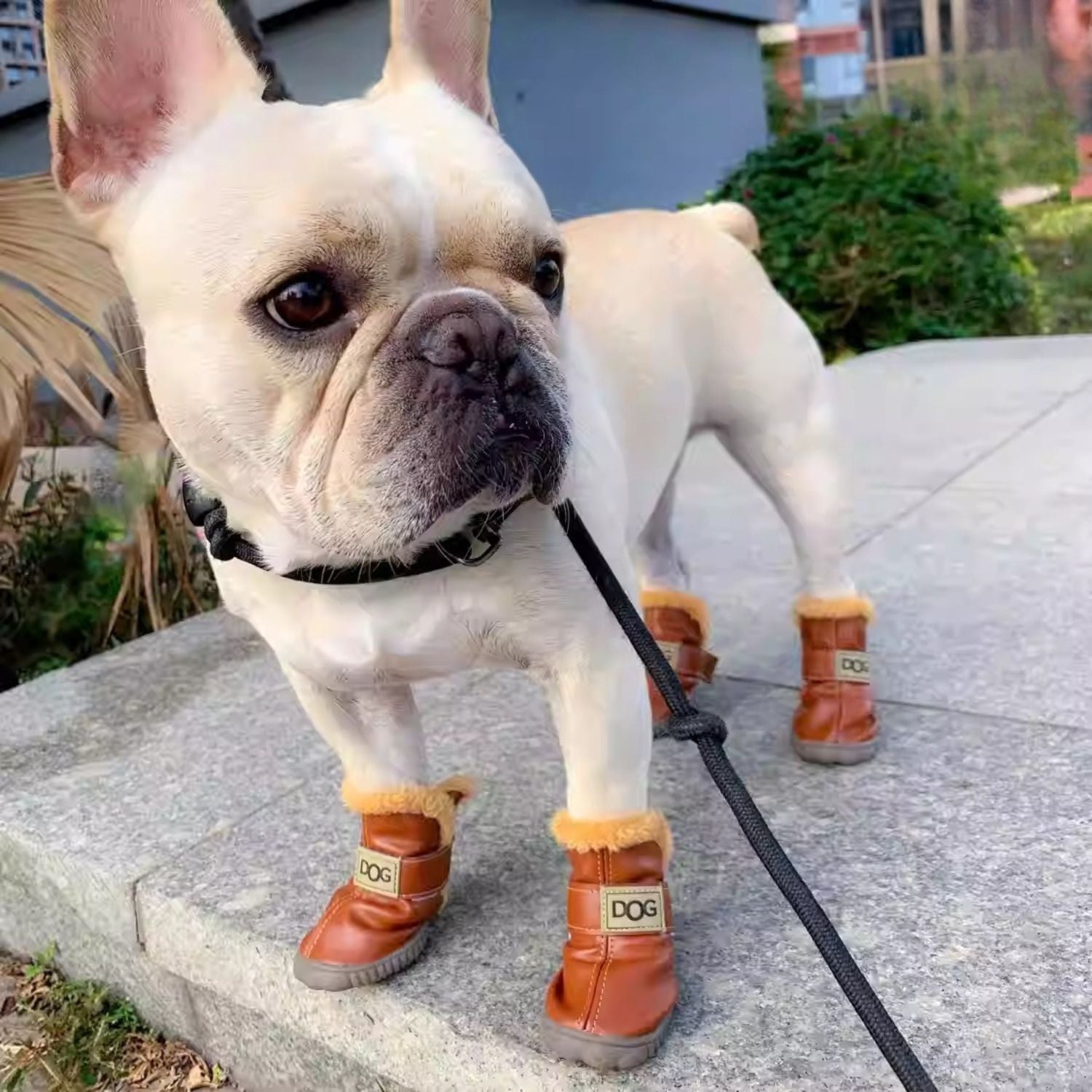FurStride Warm French Bulldog Shoes – Soft for Dog Lovers and Owners-fadou