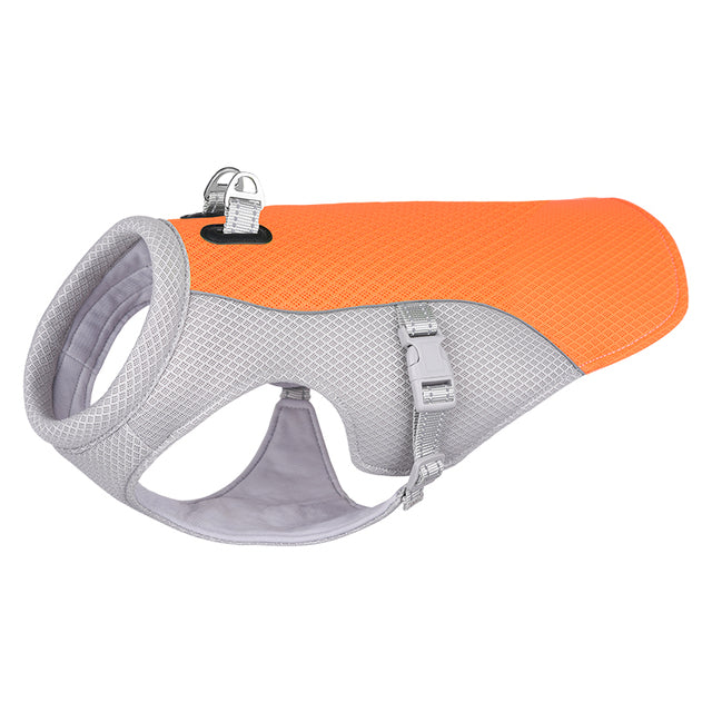 French Bulldog Breathable Walking Harness for Brachycephalic Dogs-fadou