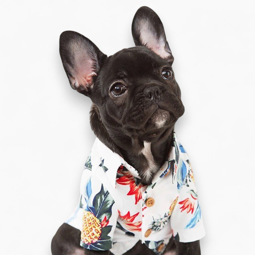 Stylish Shirts for French Bulldog Owners and Fans for Frenchies-fadou