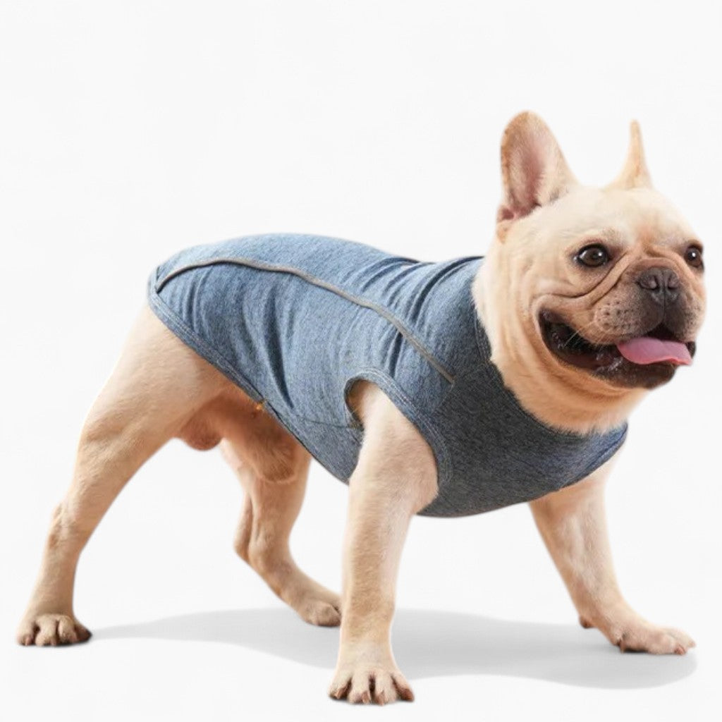 French Bulldog Breathable Cotton T-Shirt for Dog Park Days-fadou