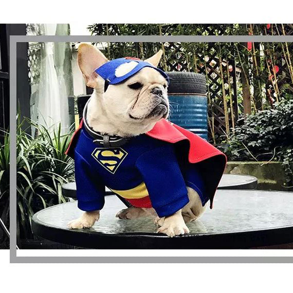 French Bulldog SuperFrenchie Cosplay Clothes for Outdoor Adventures-fadou