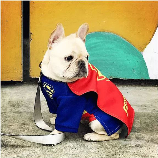 French Bulldog SuperFrenchie Cosplay Clothes for Outdoor Adventures-fadou