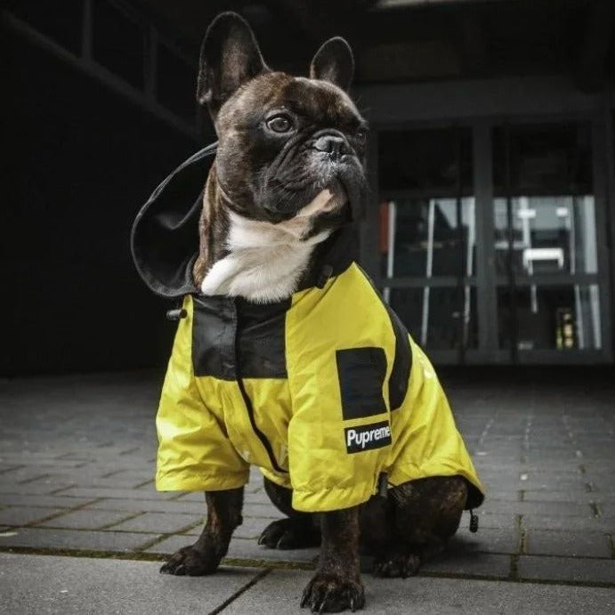 PawMax French Bulldog Waterproof Coat for Flat-Face Breeds-fadou