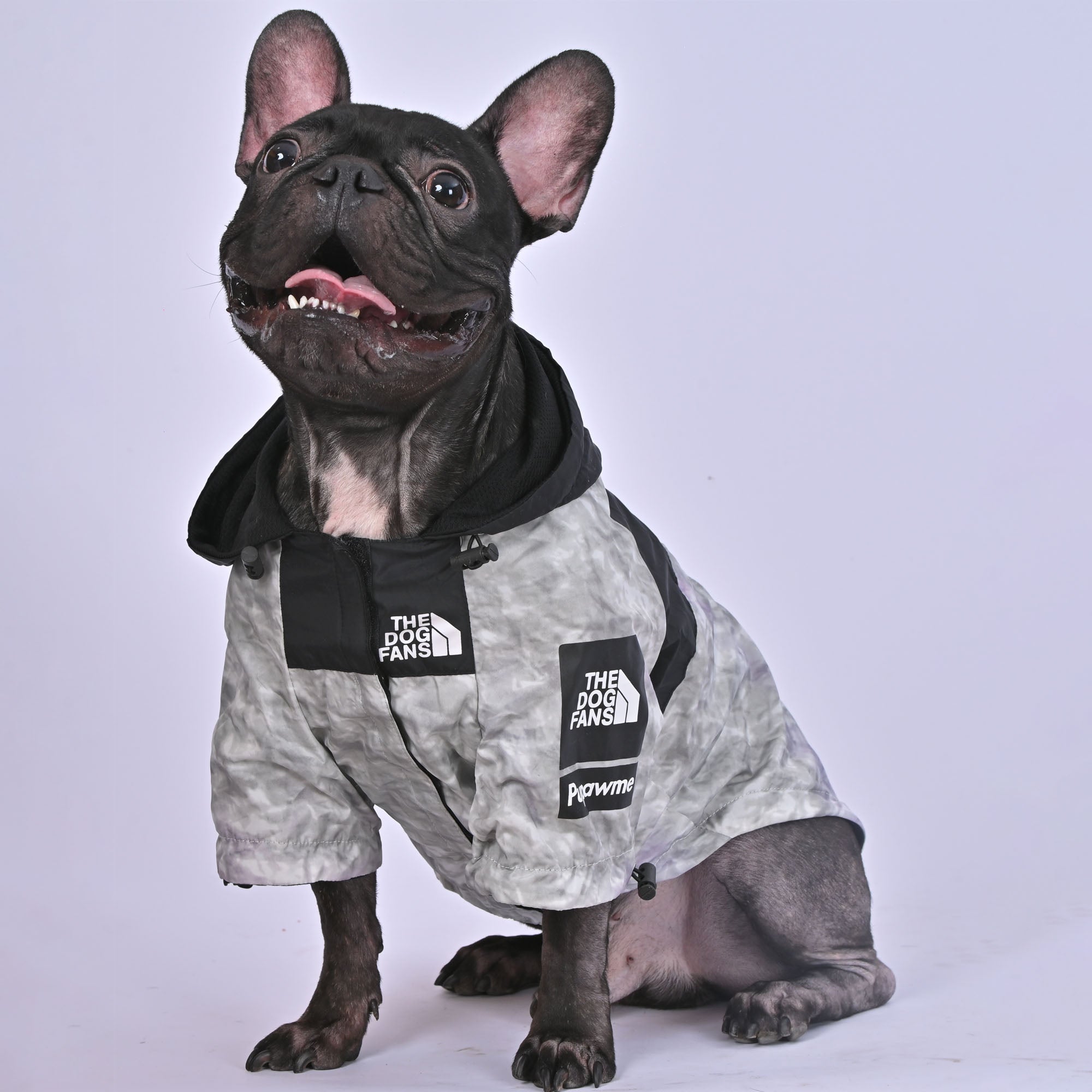 French Bulldog Trendy Waterproof Coat for Travel Comfort-fadou