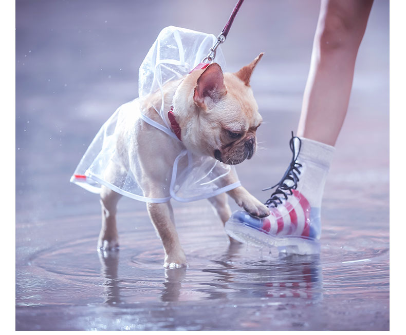 French Bulldog Raincoat for Bulldog Fans for French Bulldogs-fadou
