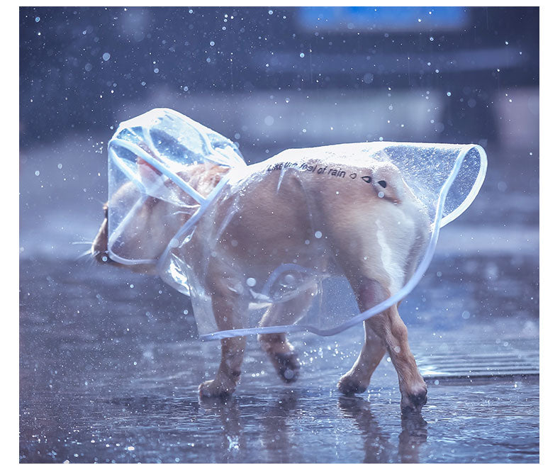 French Bulldog Raincoat for Bulldog Fans for French Bulldogs-fadou