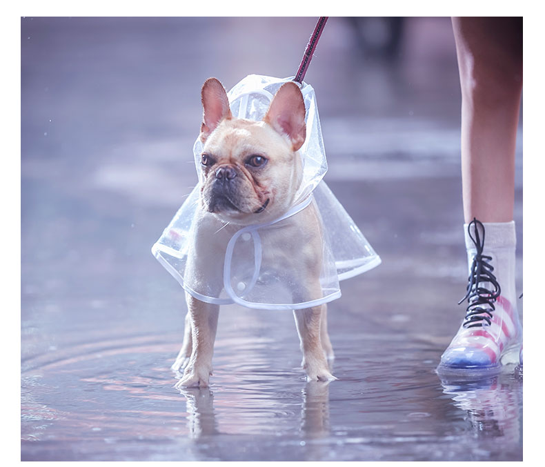 French Bulldog Raincoat for Bulldog Fans for French Bulldogs-fadou