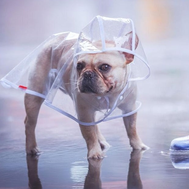 French Bulldog Raincoat for Bulldog Fans for French Bulldogs-fadou