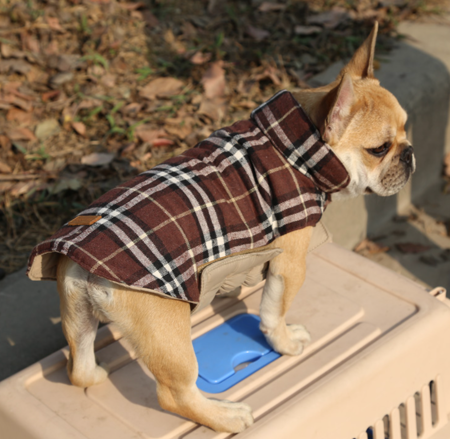 French Bulldog Jacket for Bulldog Fans for French Bulldogs-fadou