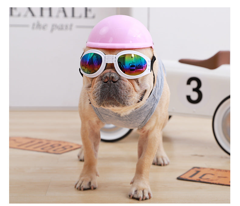 Waterproof Goggles for Dog Lovers and Owners and Owners-fadou
