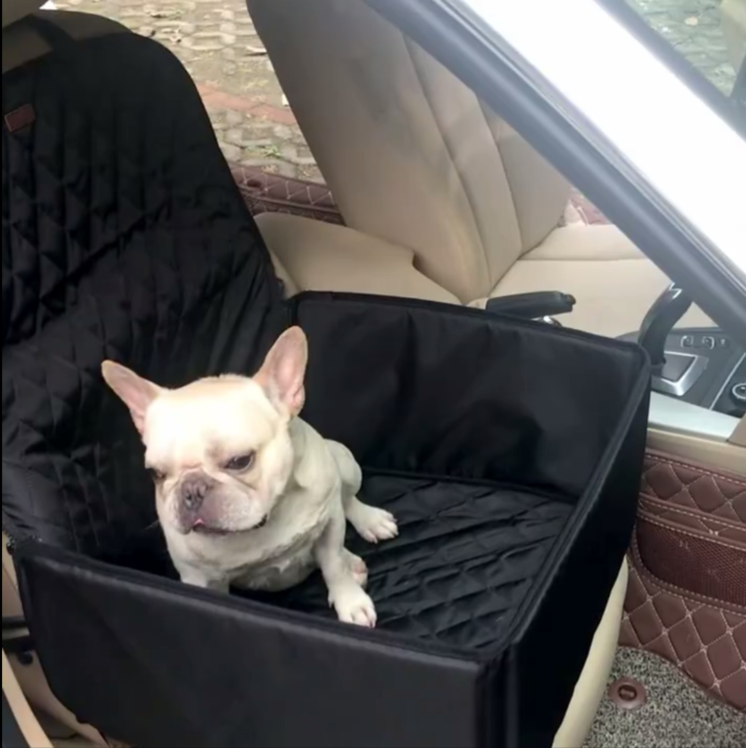 Waterproof Waterproof Accessory for Frenchie Enthusiasts-fadou