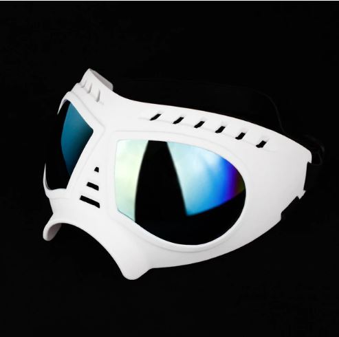 French Bulldog Windproof Pet Product for Training Sessions-fadou