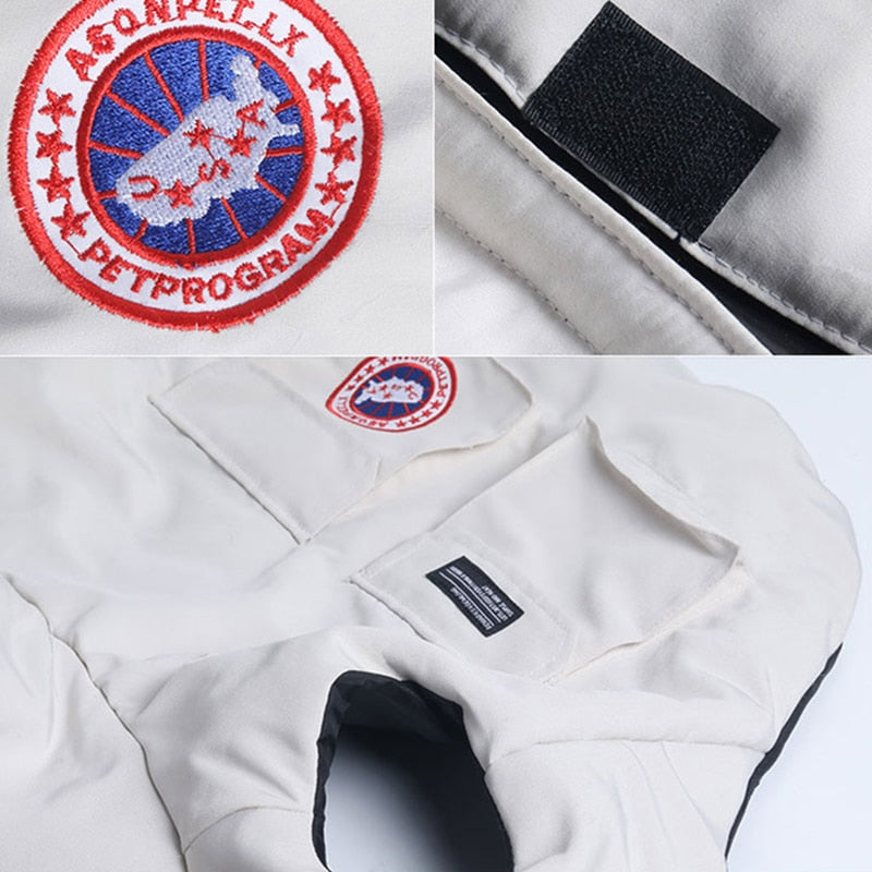 French Bulldog Winter Pet Product for Training Sessions-fadou