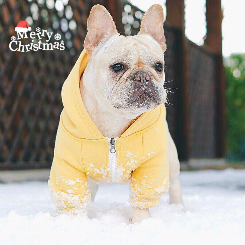French Bulldog Warm Pet Parent Pullover for Pet Culture-fadou