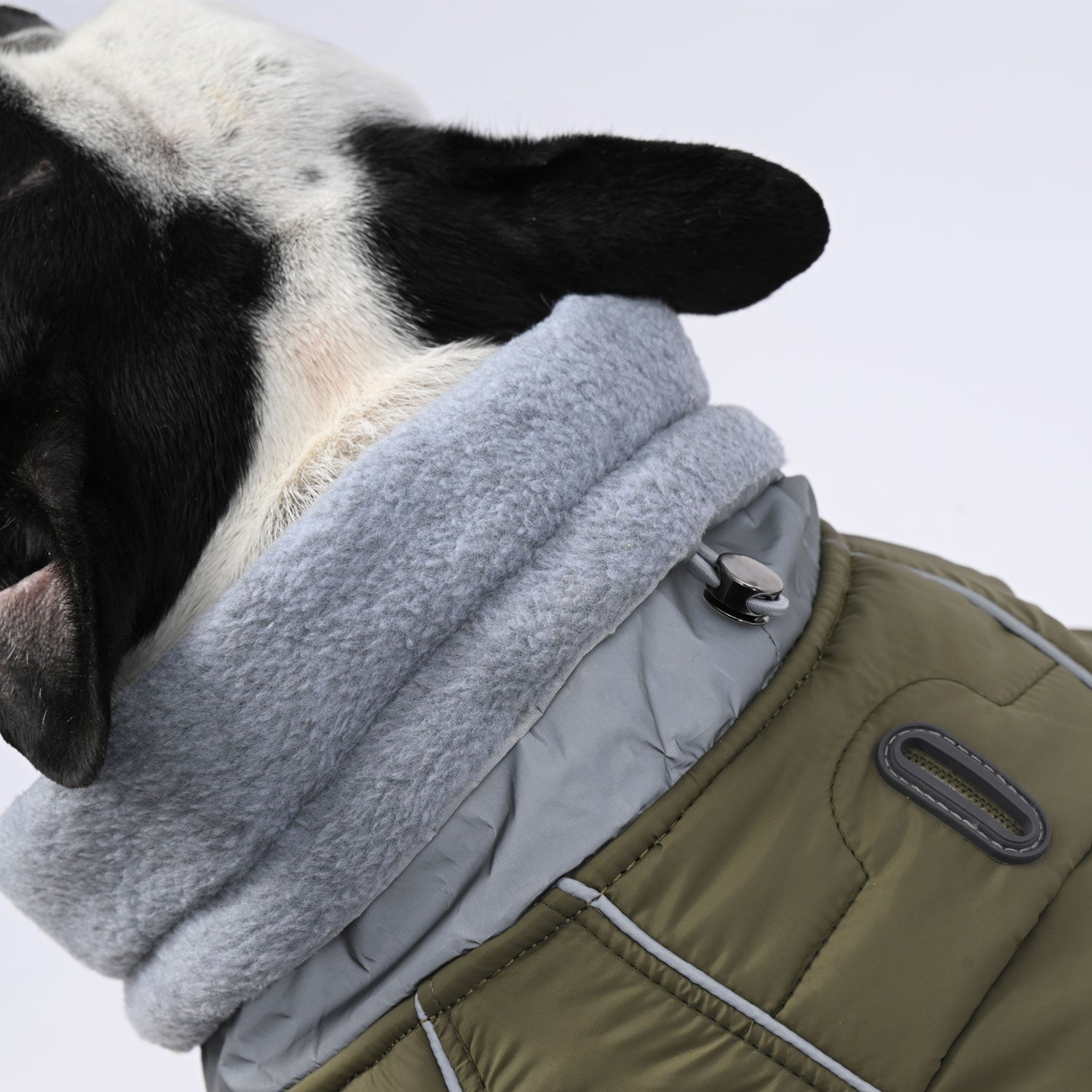 French Bulldog Winter Winter Jacket for Outdoor Adventures-fadou