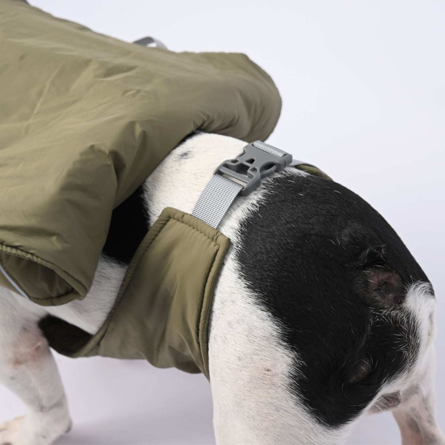 French Bulldog Winter Winter Jacket for Outdoor Adventures-fadou