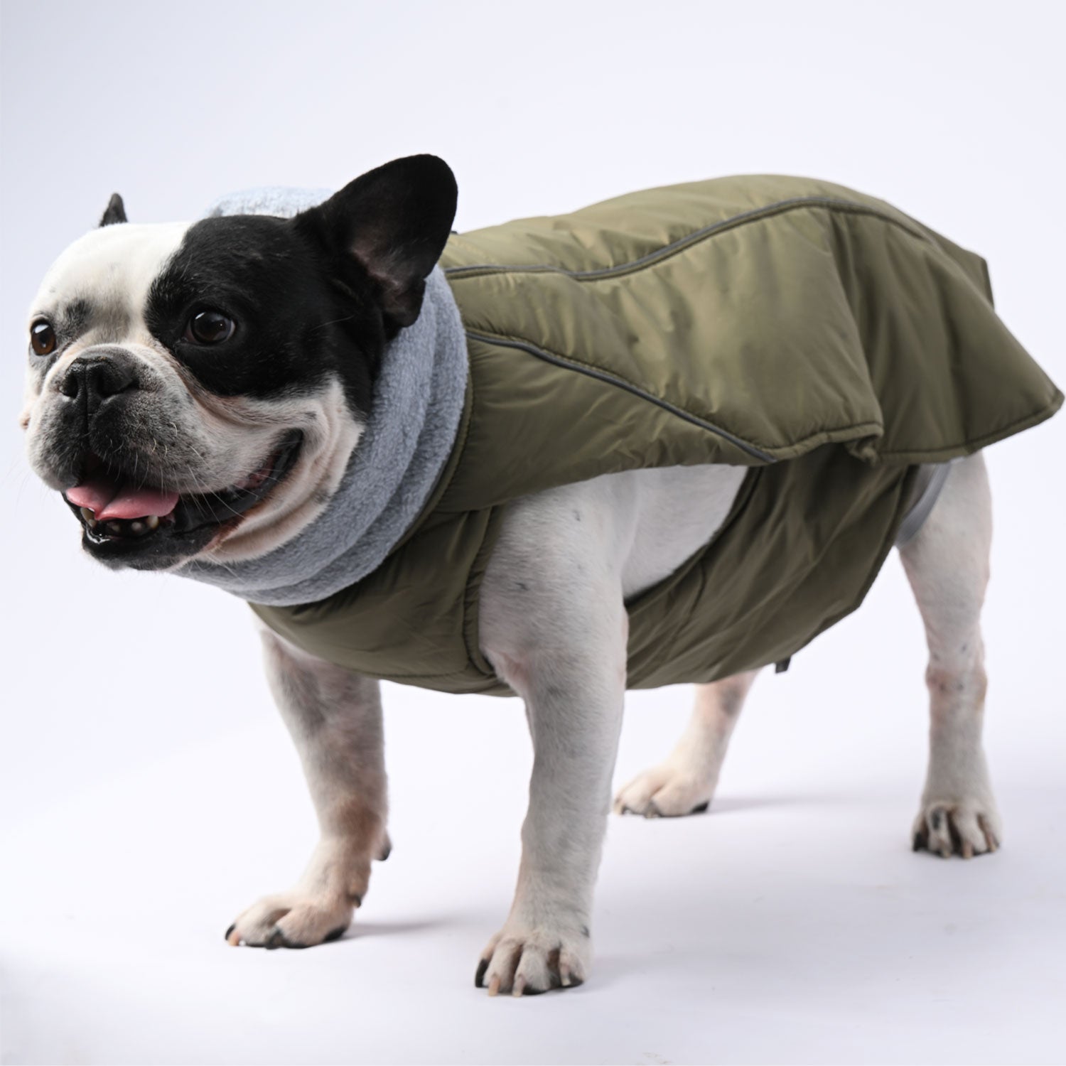 French Bulldog Winter Winter Jacket for Outdoor Adventures-fadou