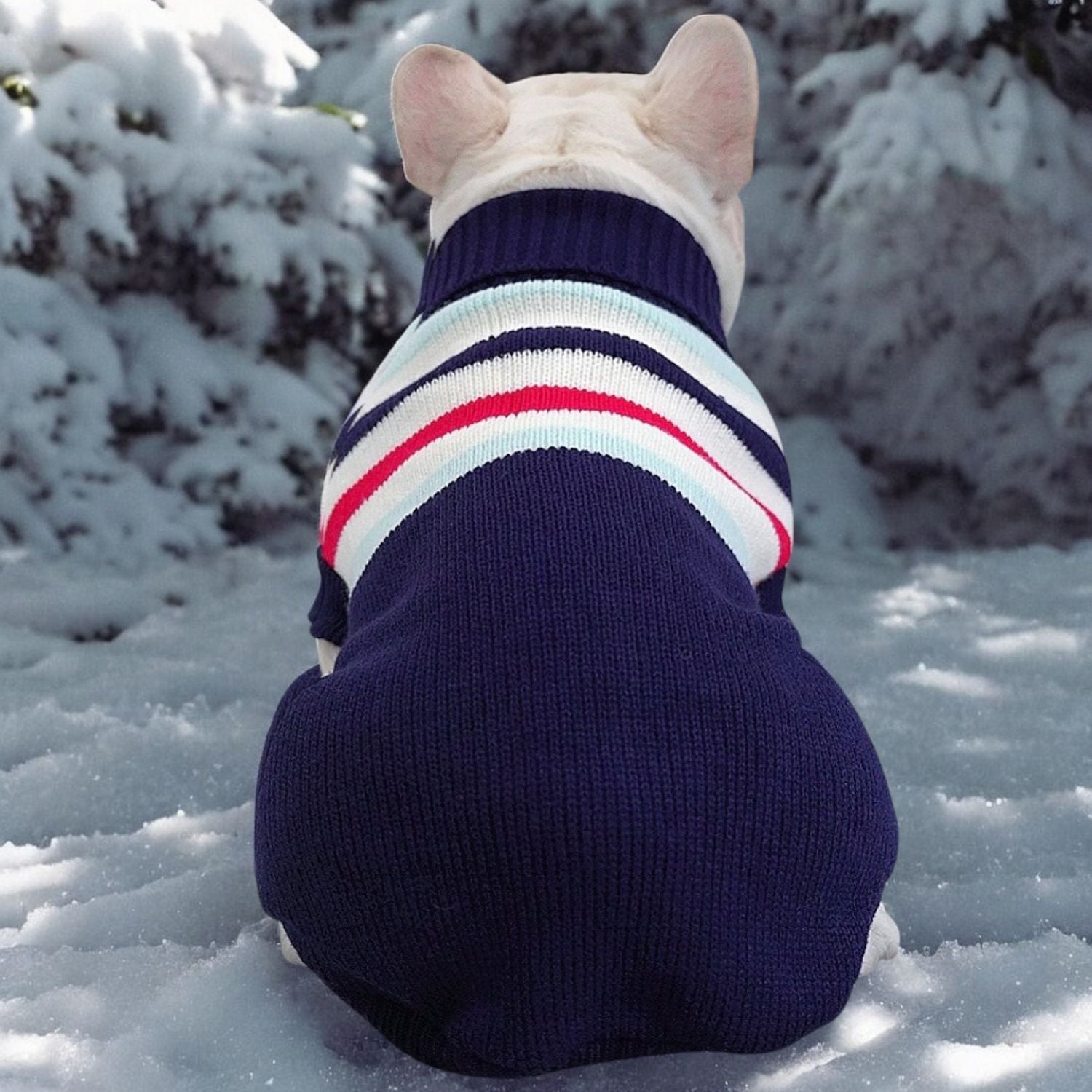 French Bulldog Christmas Dog Jumper for Short-Nosed Dogs-fadou