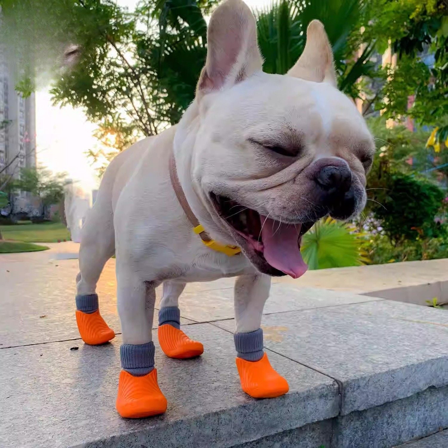 French Bulldog Waterproof Ankle Booties for Dog Moms & Dads-fadou