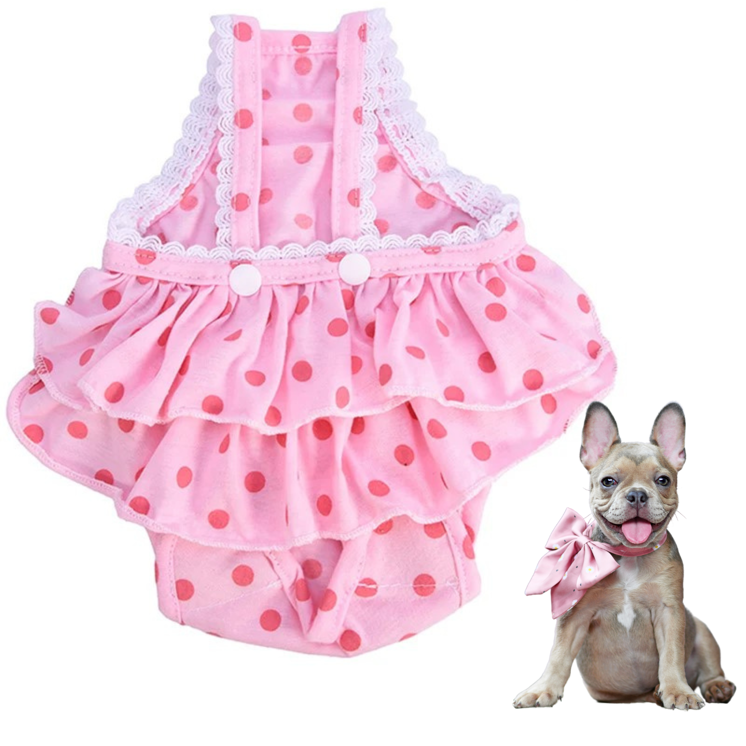 French Bulldog Washable Absorbent Underwear for Training Sessions-fadou