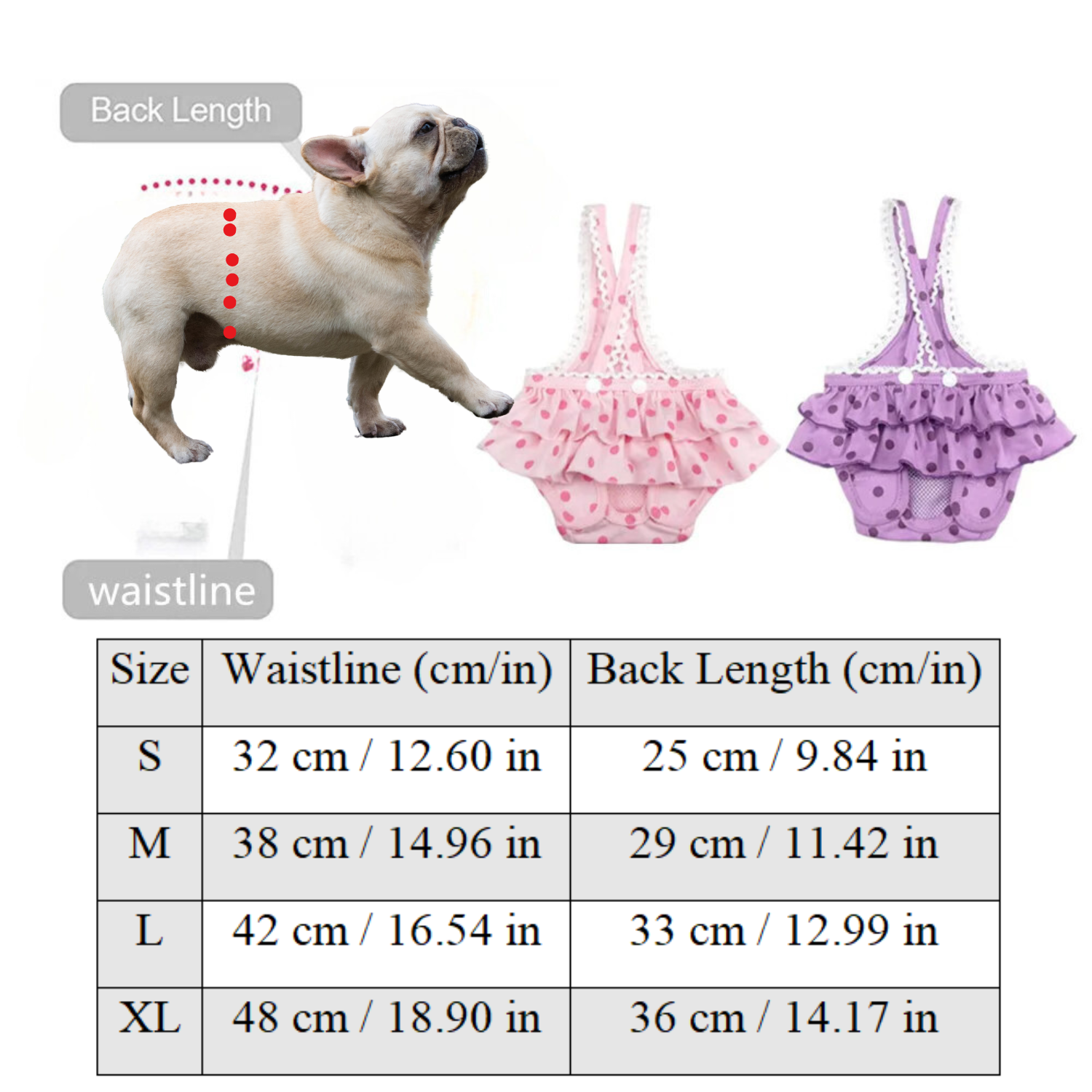 French Bulldog Washable Absorbent Underwear for Training Sessions-fadou