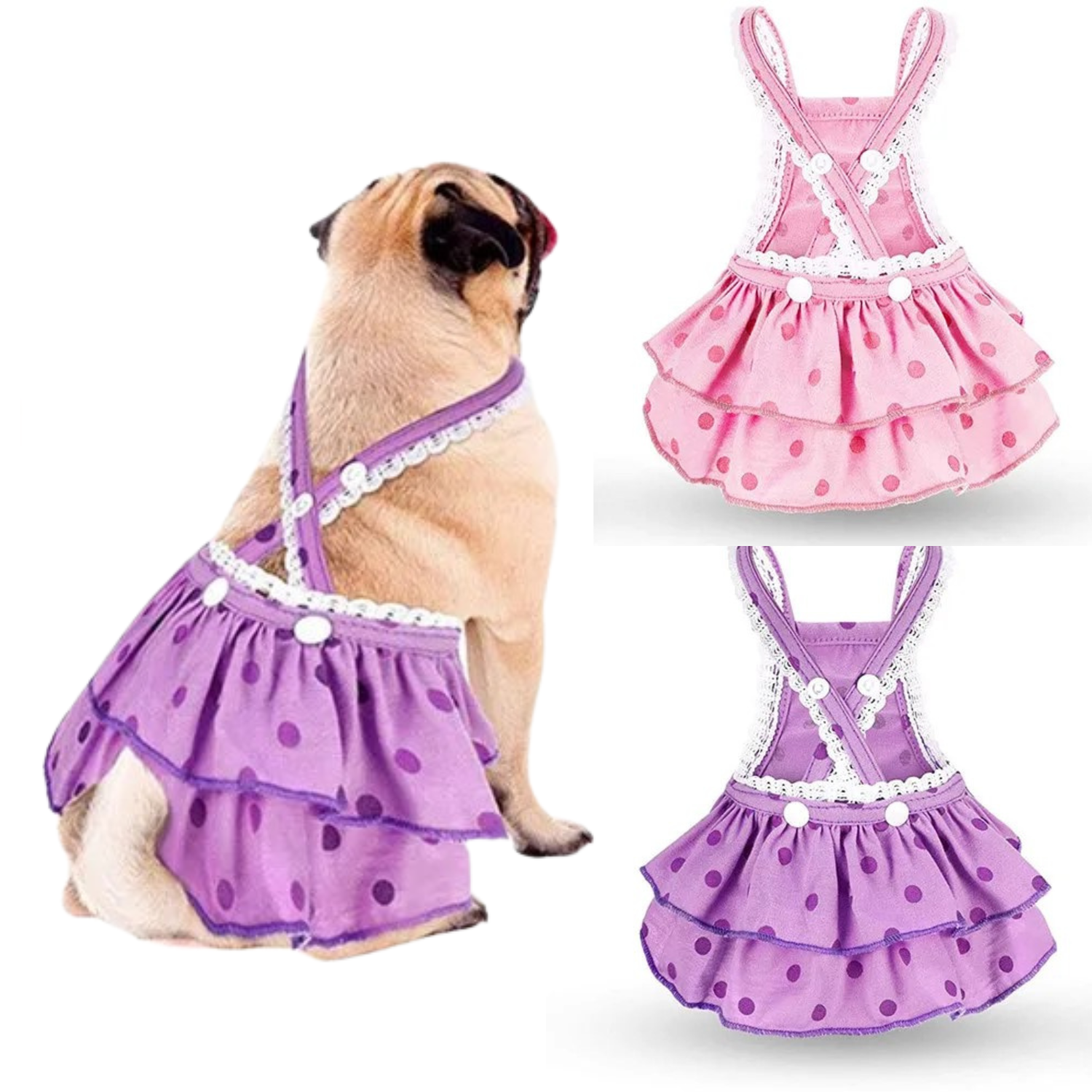 French Bulldog Washable Absorbent Underwear for Training Sessions-fadou