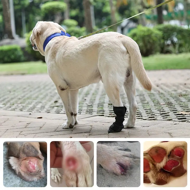 French Bulldog Adjustable Accessory for Frenchie Enthusiasts-fadou