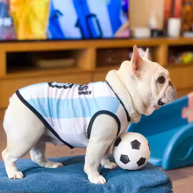 French Bulldog Breathable Item for Frenchie Enthusiasts-fadou