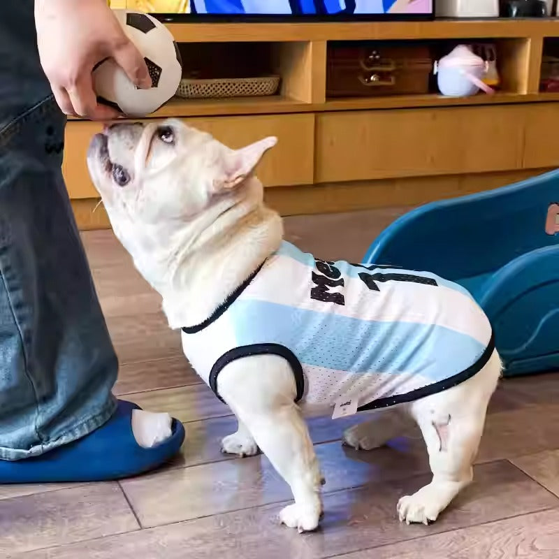 French Bulldog Breathable Item for Frenchie Enthusiasts-fadou