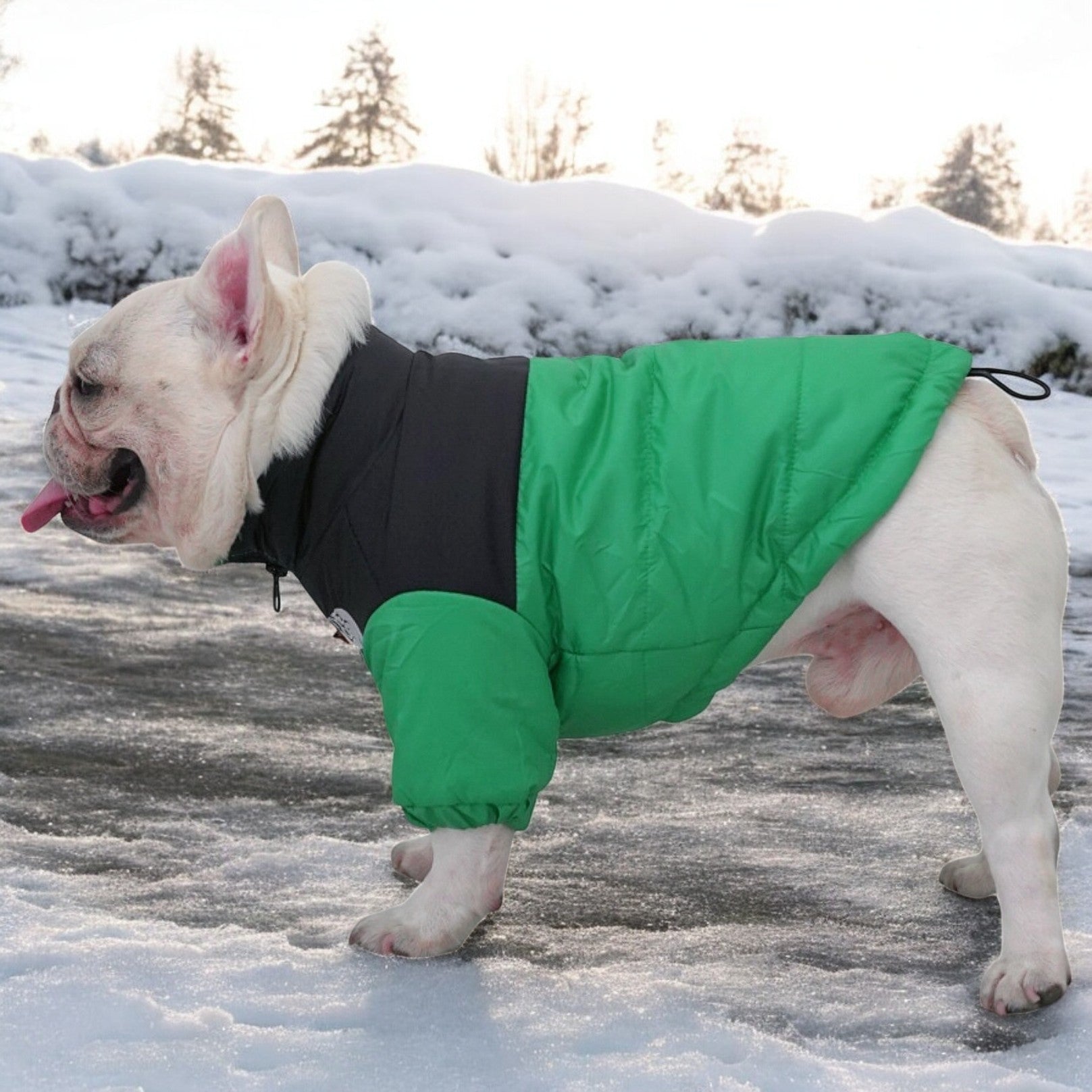French Bulldog Reflective Accessory for Dog Moms & Dads-fadou