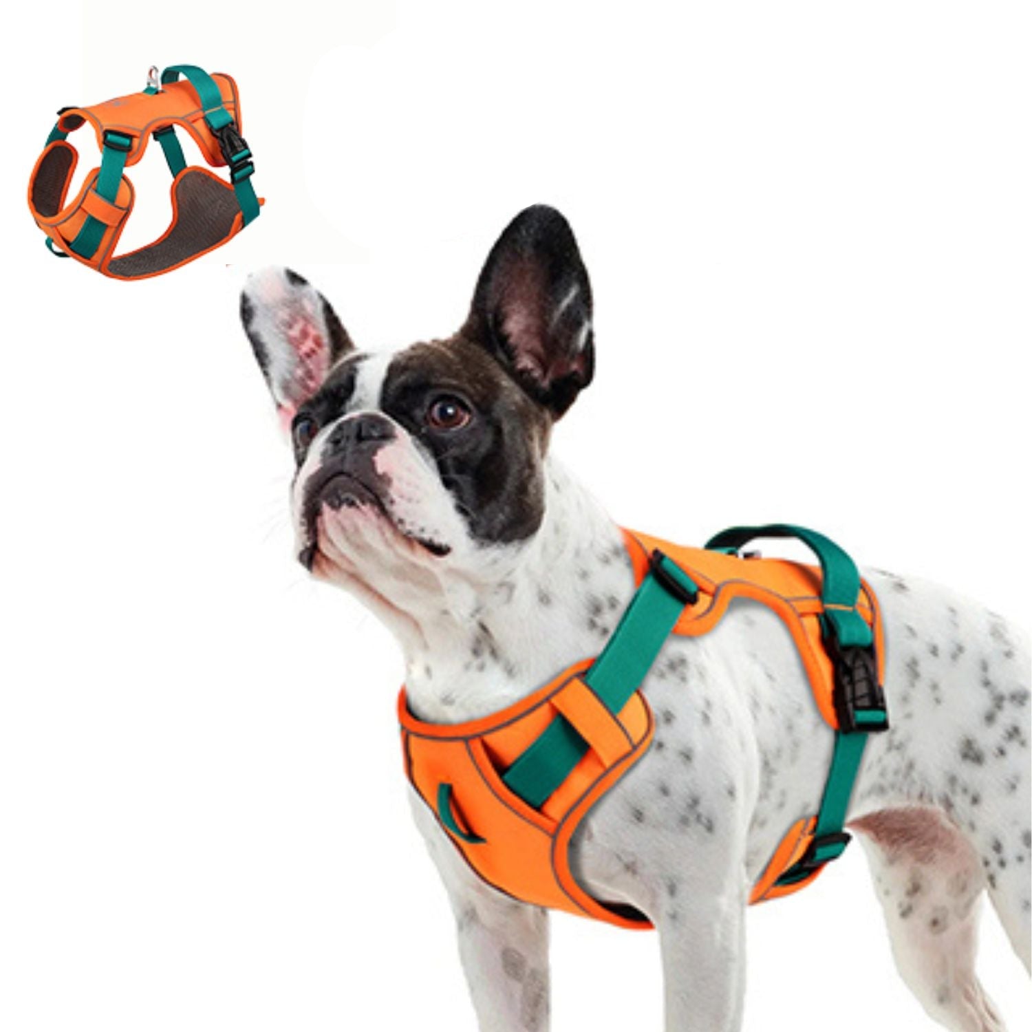 Reflective No-Pull Walking Harness for Short-Nosed Dogs-fadou