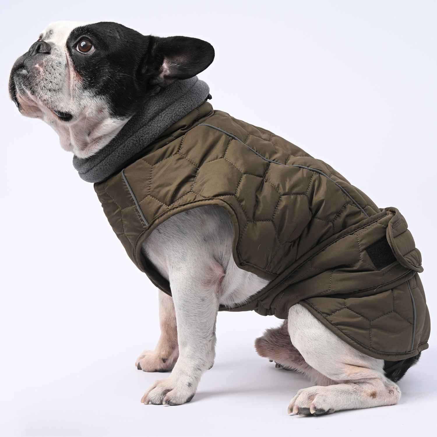 IceShield Frenchie Winter Snowsuit with Reflective Design for Dog Lovers-fadou