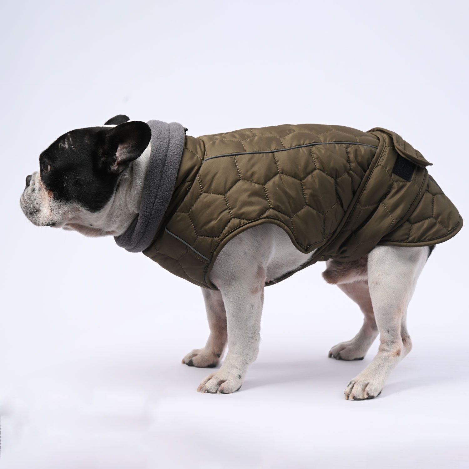 IceShield Frenchie Winter Snowsuit with Reflective Design for Dog Lovers-fadou