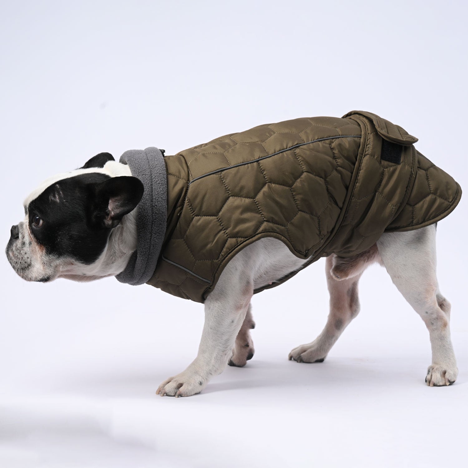 IceShield Frenchie Winter Snowsuit with Reflective Design for Dog Lovers-fadou