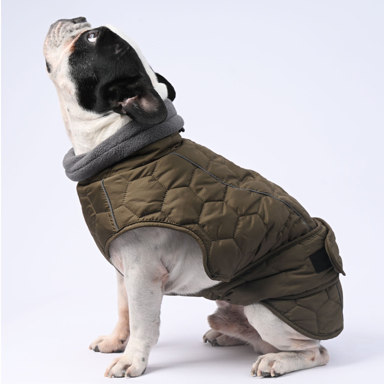 IceShield Frenchie Winter Snowsuit with Reflective Design for Dog Lovers-fadou