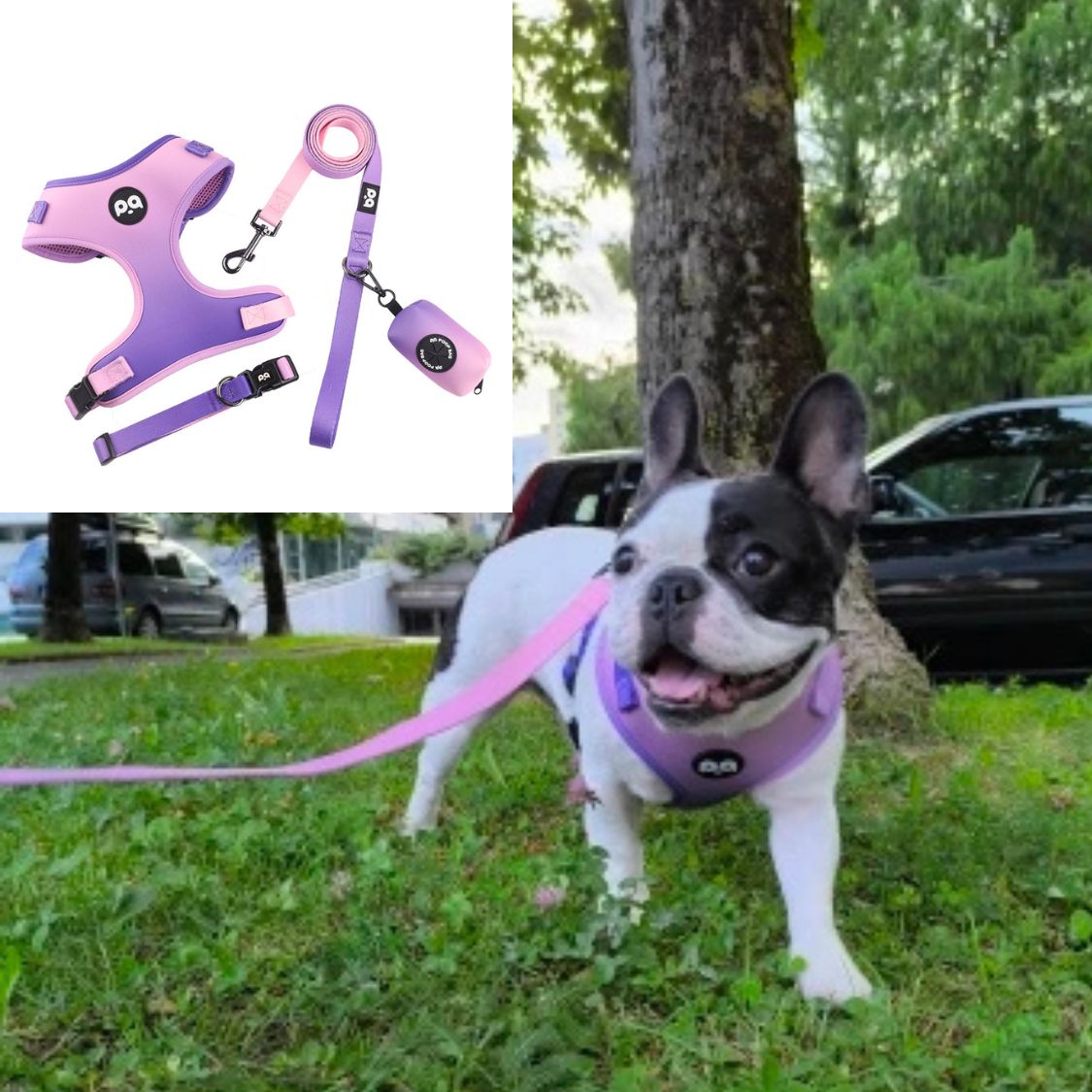 French Bulldog Adjustable Chest Harness for Outdoor Adventures-fadou