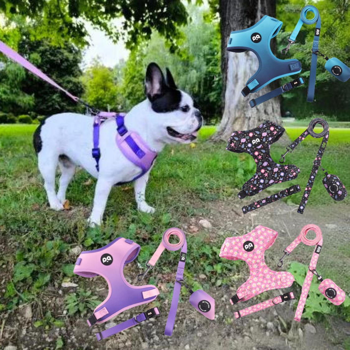 French Bulldog Adjustable Chest Harness for Outdoor Adventures-fadou