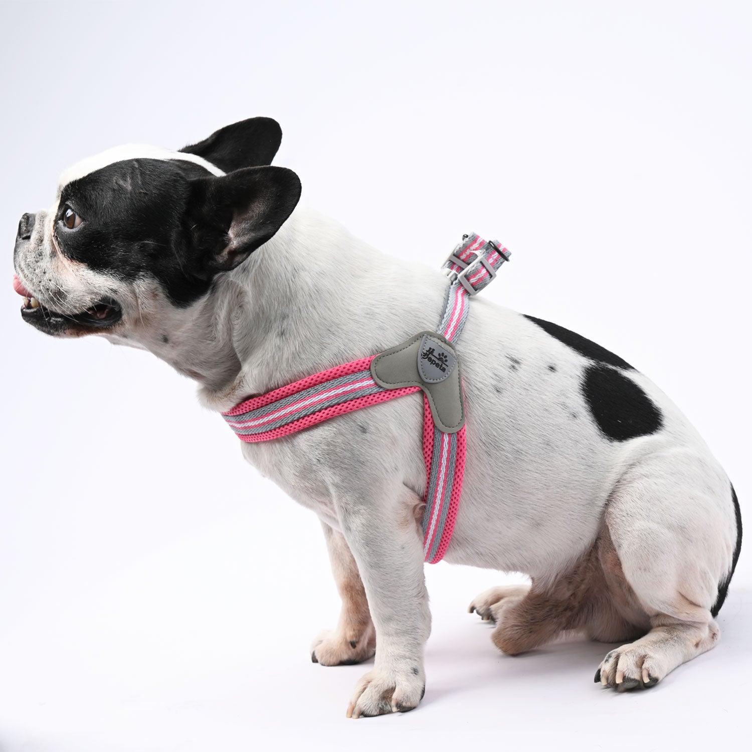 LeashLock No-Pull Walking Harness for Training Sessions-fadou
