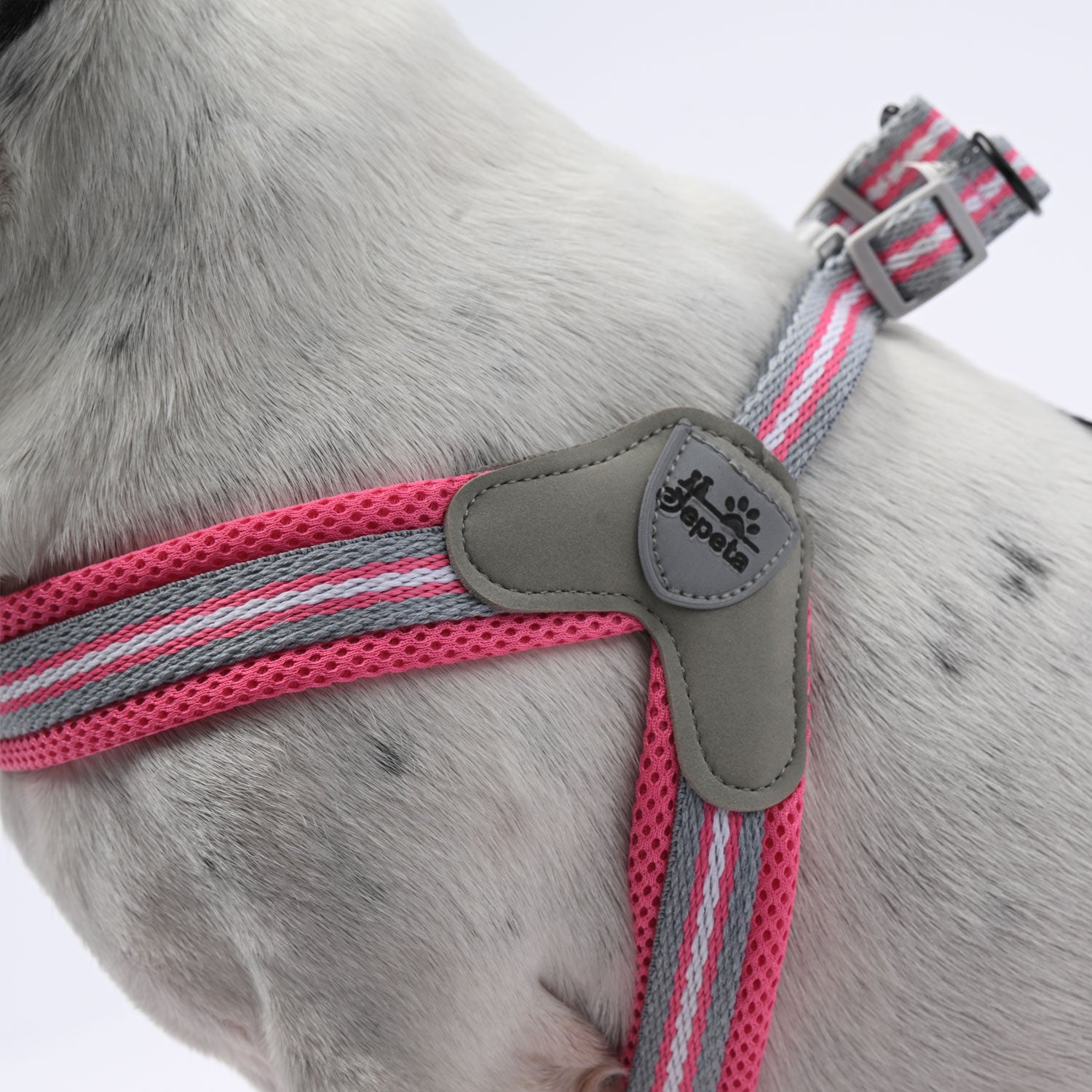 LeashLock No-Pull Walking Harness for Training Sessions-fadou