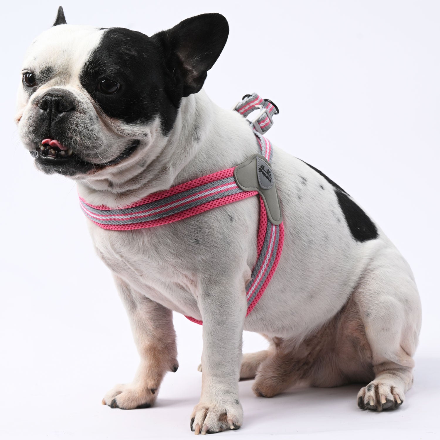 LeashLock No-Pull Walking Harness for Training Sessions-fadou