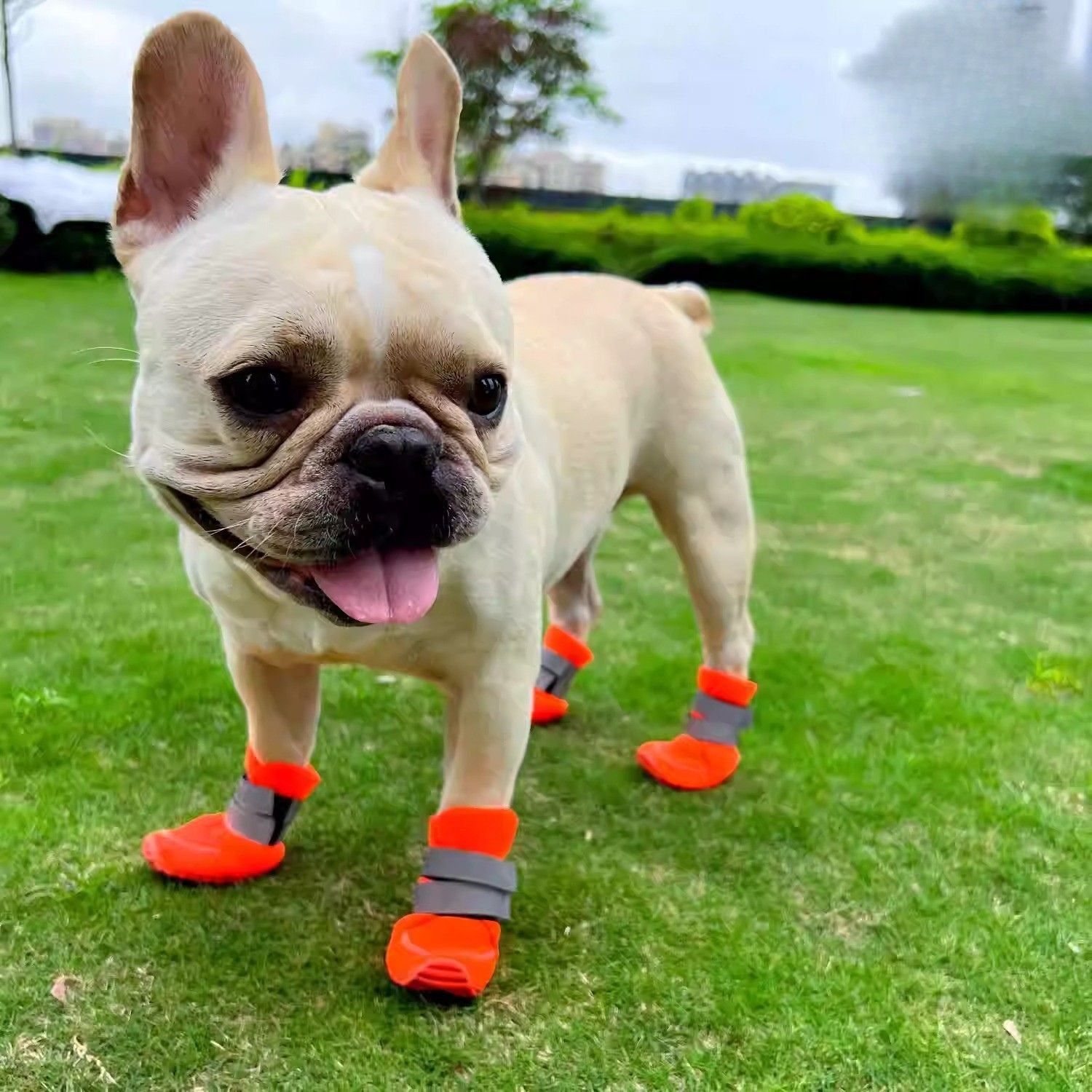 Lightweight Lightweight Protective Booties for Playtime Fun-fadou