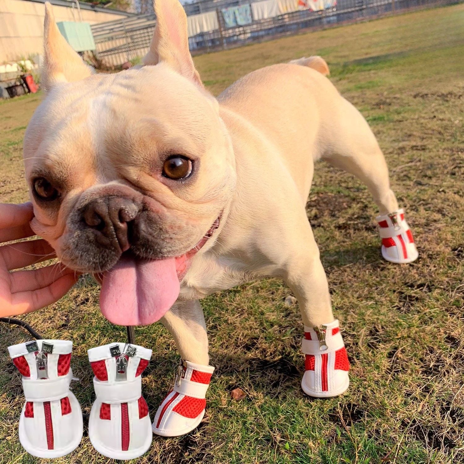 Frenchie Breathable Protective Booties for Short-Nosed Dogs-fadou