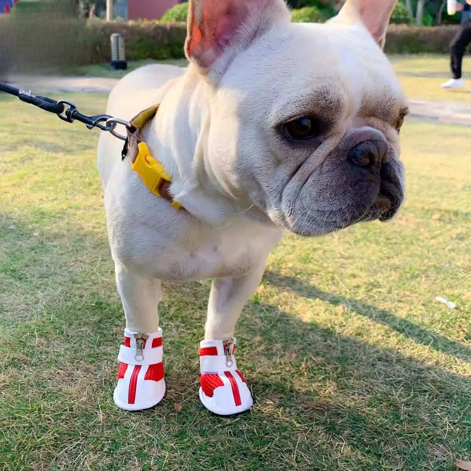 Frenchie Breathable Protective Booties for Short-Nosed Dogs-fadou