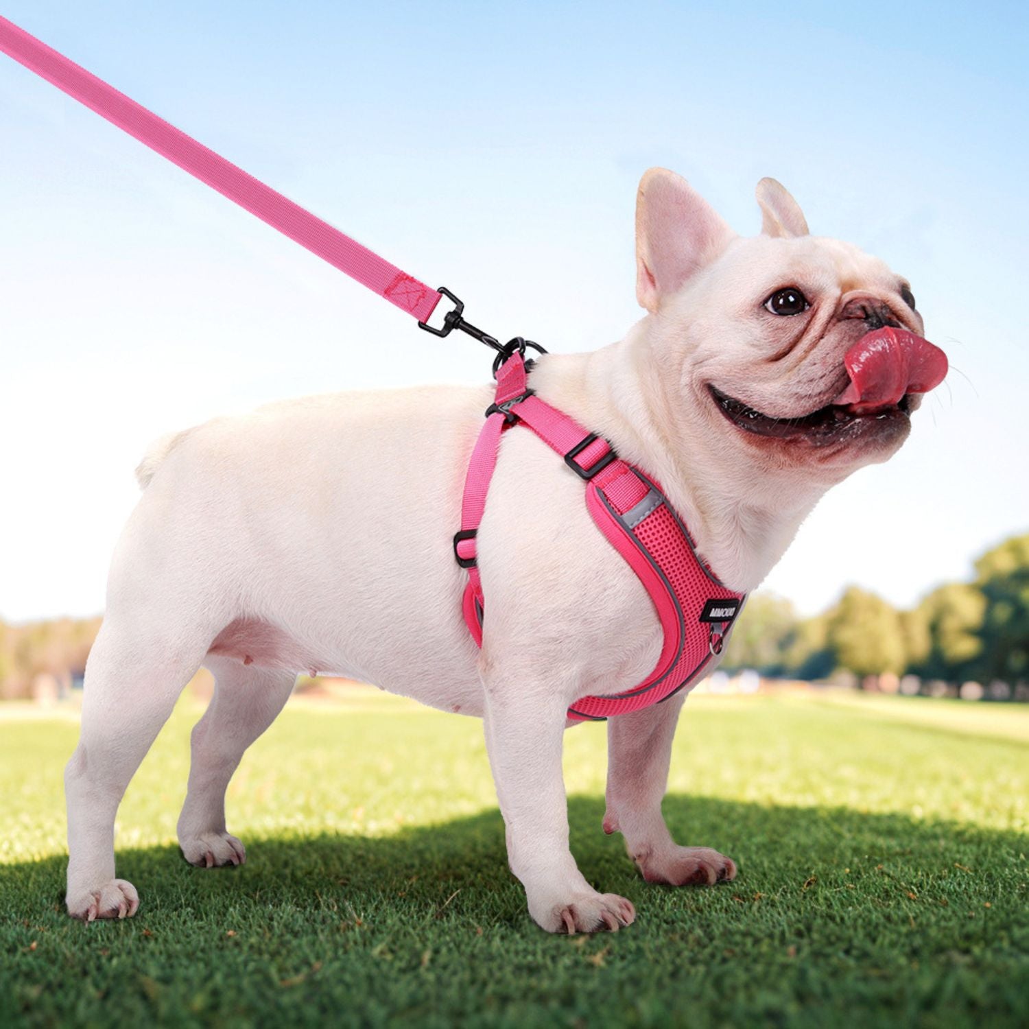 Explosion-Proof No-Pull Dog Harness for Flat-Face Breeds-fadou