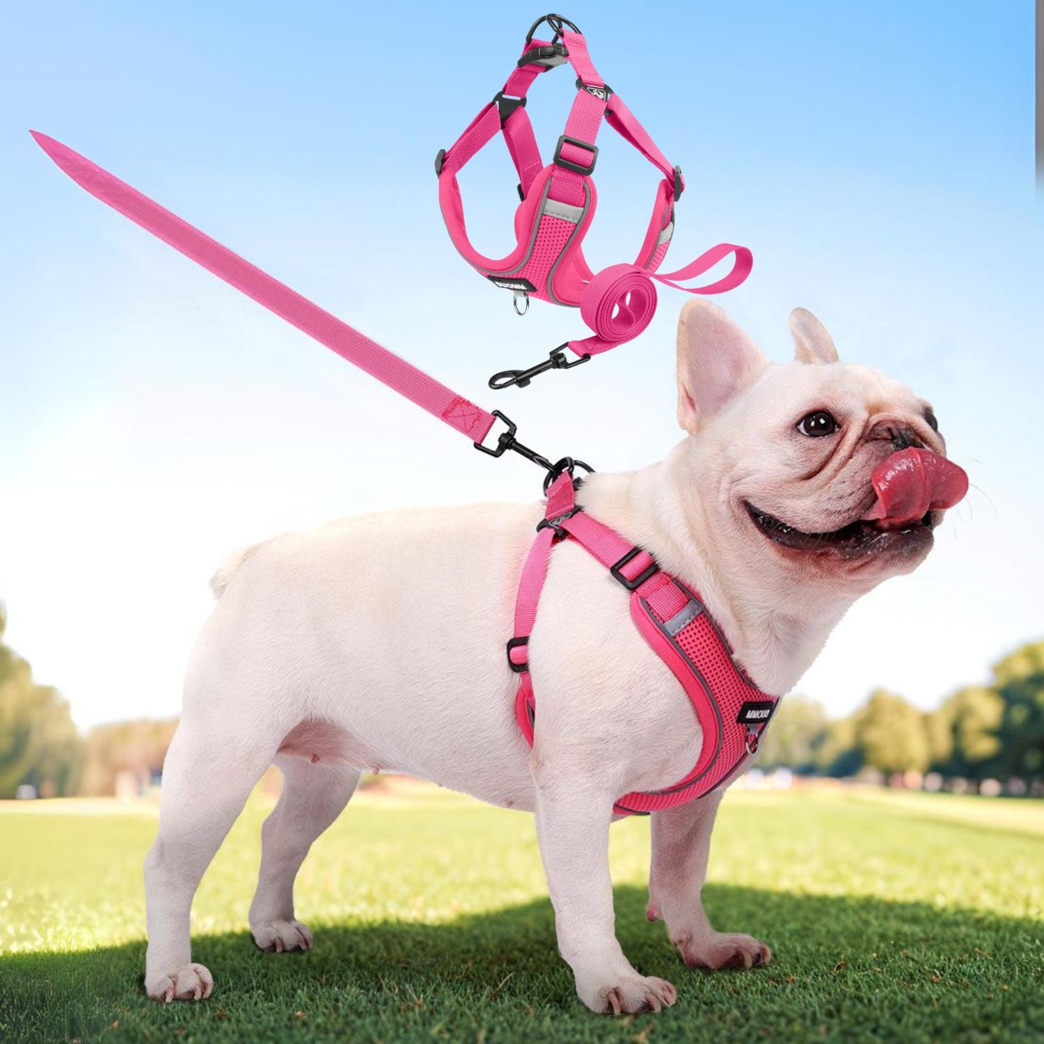 Explosion-Proof No-Pull Dog Harness for Flat-Face Breeds-fadou