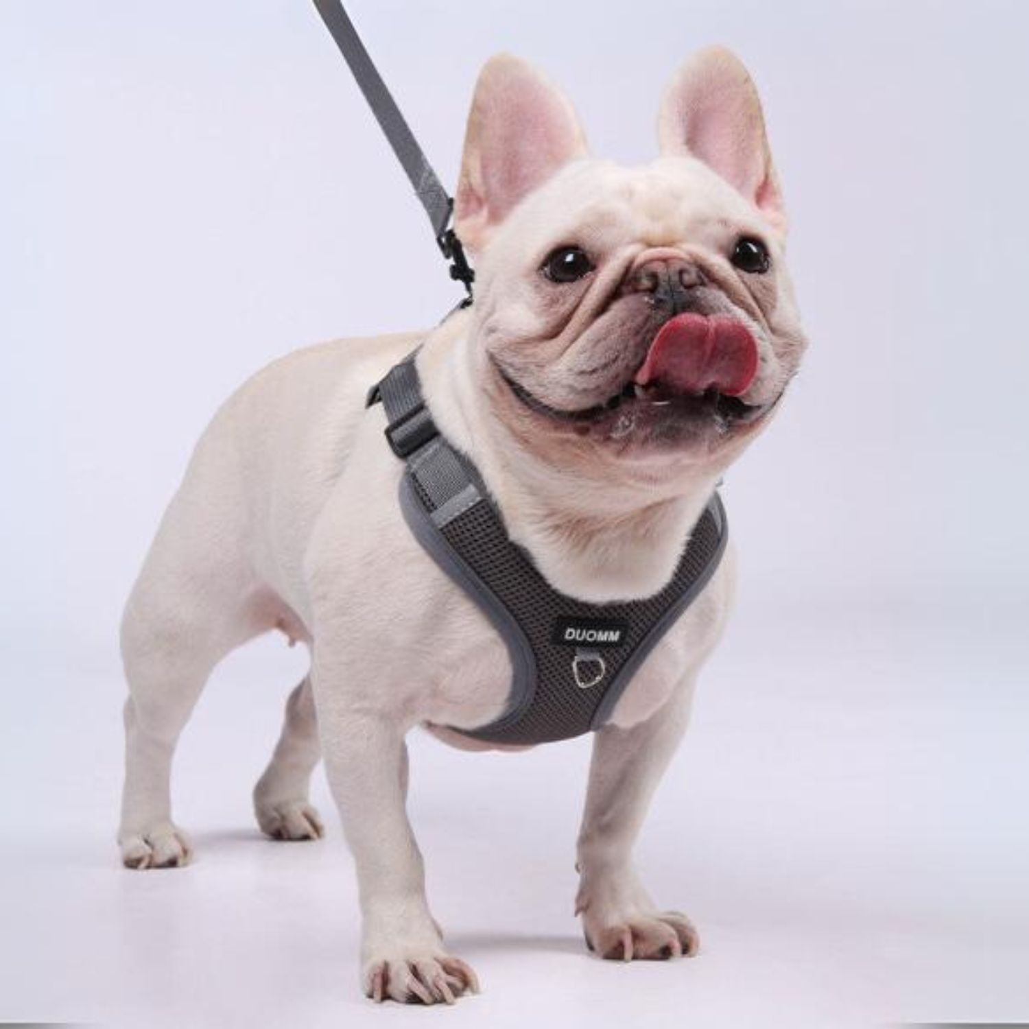 Explosion-Proof No-Pull Dog Harness for French Bulldogs-fadou