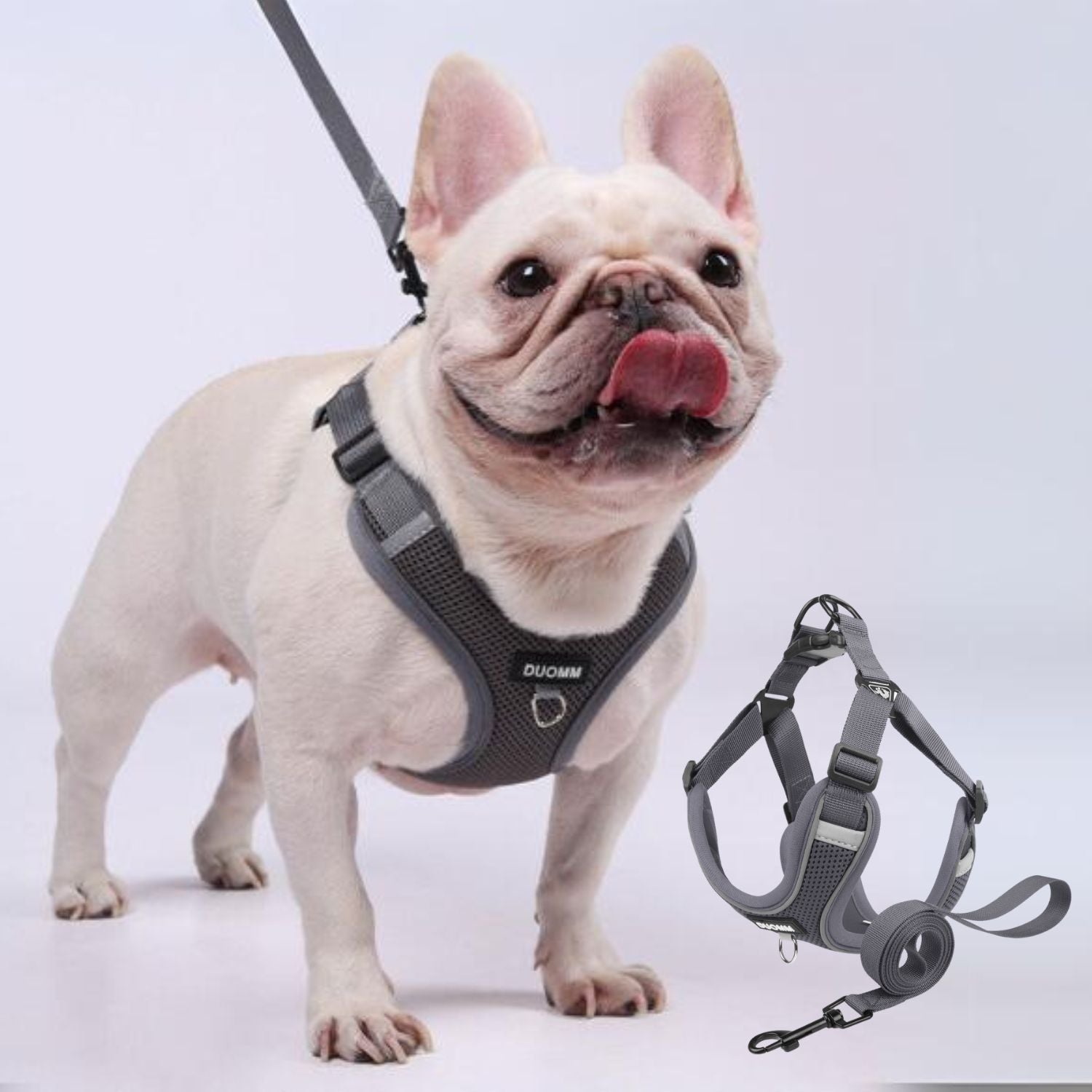 Explosion-Proof No-Pull Dog Harness for French Bulldogs-fadou